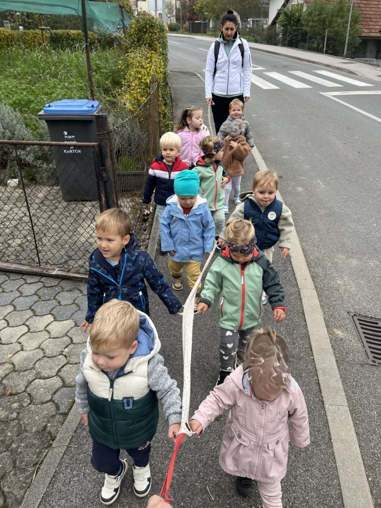 Svetovni dan hoje